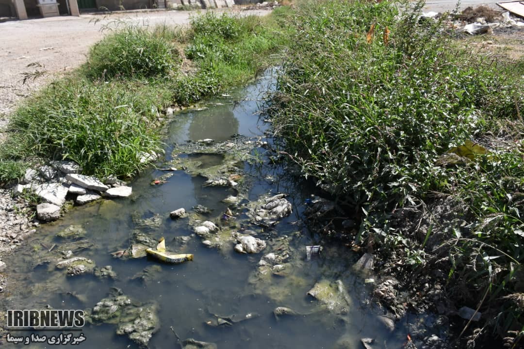 جاری شدن فاضلاب به مزارع کشاورزی در جنوب هشتگرد