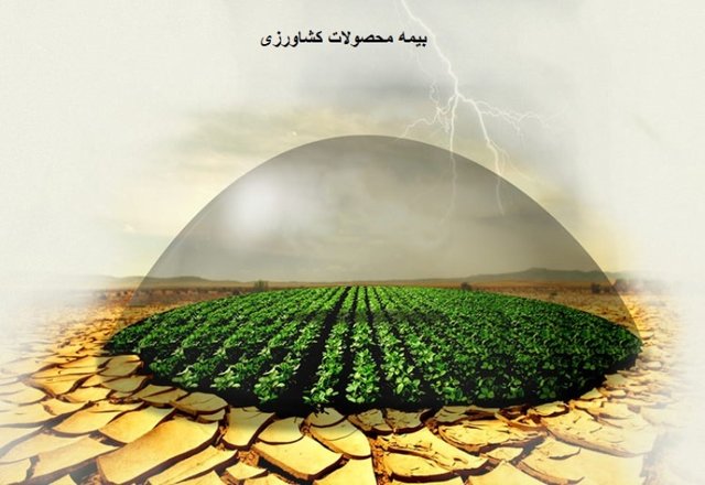 باغ‌های بَر انجیر تحت پوشش بیمه