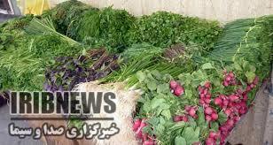 برداشت بیش از 13 هزارتن صیفی جات مختلف درمهاباد برداشت بیش از 13 هزارتن صیفی جات مختلف درمهاباد