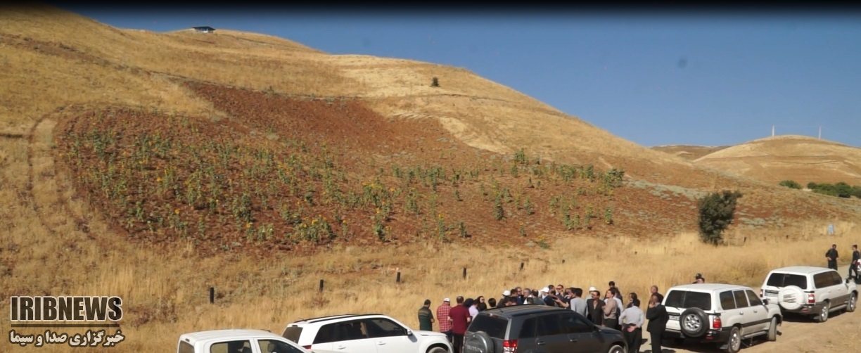 بازدید استاندار کردستان از جاده جدید مریوان و طرح توسعهی باغات بازدید استاندار کردستان از جاده جدید مریوان و طرح توسعهی باغات