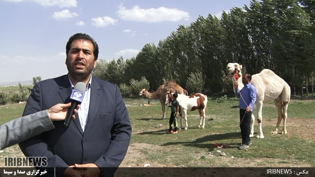 آغاز  کوچ پائیزه عشایر