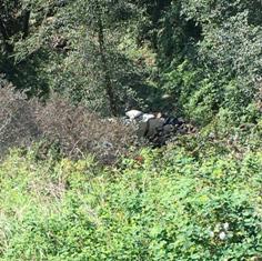 5 کشته و مصدوم در سقوط خودرو در رامس