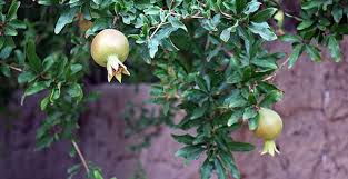 این جا مردم زندگی می&zwnj;کنند..