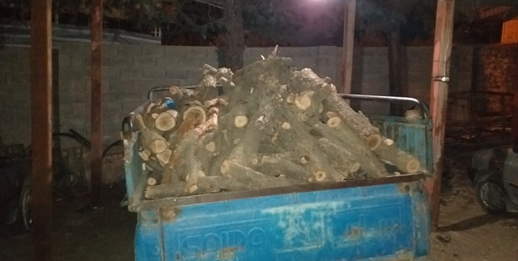 کشف ۲ تن هیزم قاچاق در کهگیلویه