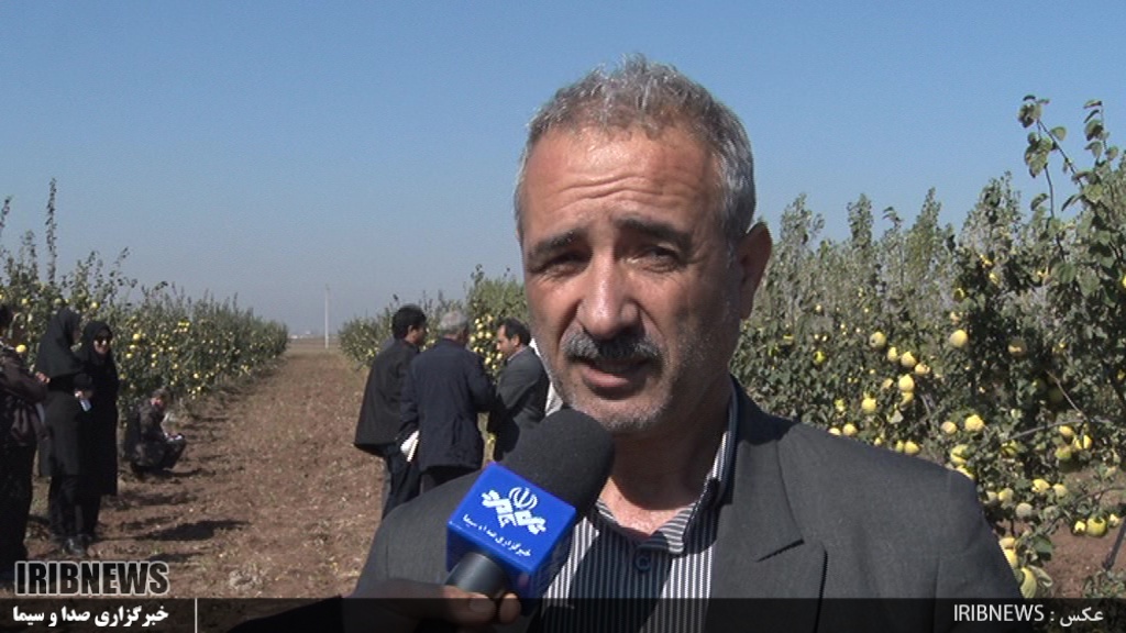   افزایش دو برابری تولید میوه به