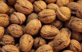 آغاز برداشت گردو از باغات آذربایجان غربی