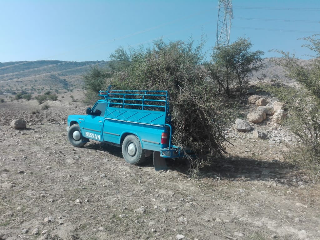 شناسایی فرد متخلف در اراضی ملی رستم
