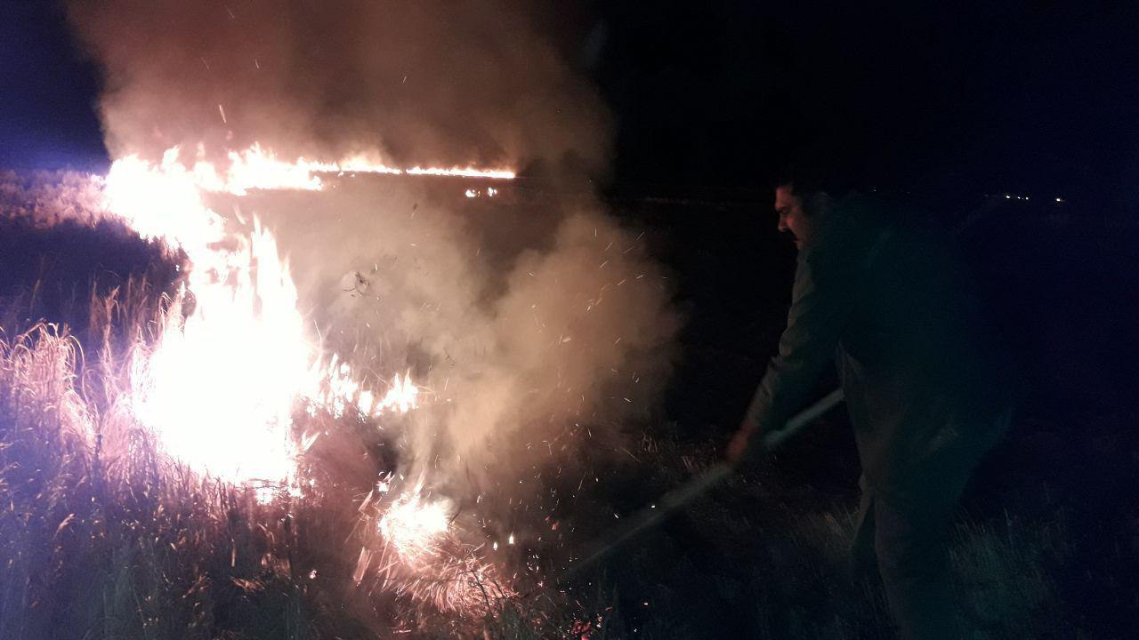 آتش در مناطقی از تالاب هامون همچنان زبانه می کشد