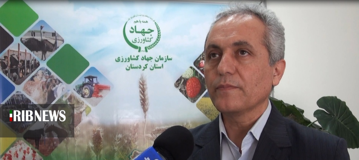 هشدار جهاد کشاورزی به کشاورزان هشدار جهاد کشاورزی به کشاورزان