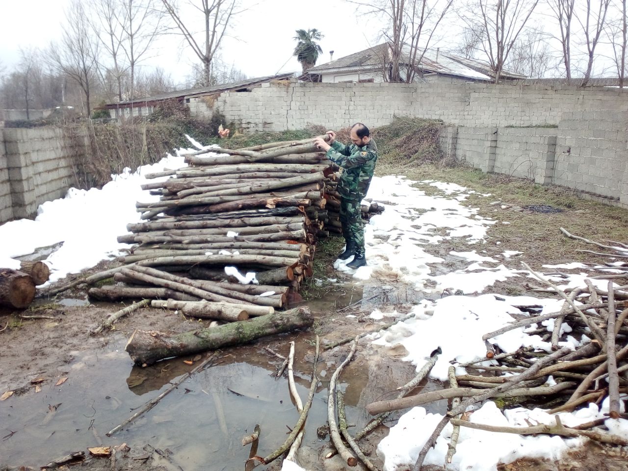 کاهش 50 در صدی قاچاق چوب در فومن