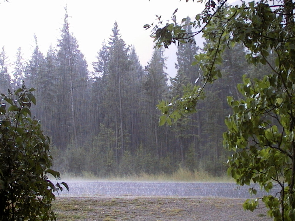 اردستان بارانی ترین منطقه استان