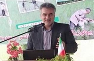 لزوم مبارزه با شته در باغهای مرکبات جوان