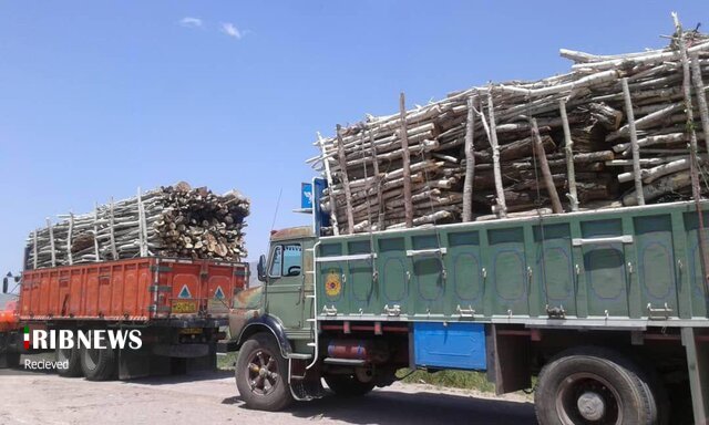 بار قاچاق چوب زمین گیر شد بار قاچاق چوب زمین گیر شد