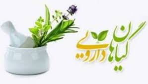 رونمایی از بانک اطلاعات و دایره المعارف گیاهان دارویی ایران در جهاددانشگاهی رونمایی از بانک اطلاعات و دایره المعارف گیاهان دارویی ایران در جهاددانشگاهی