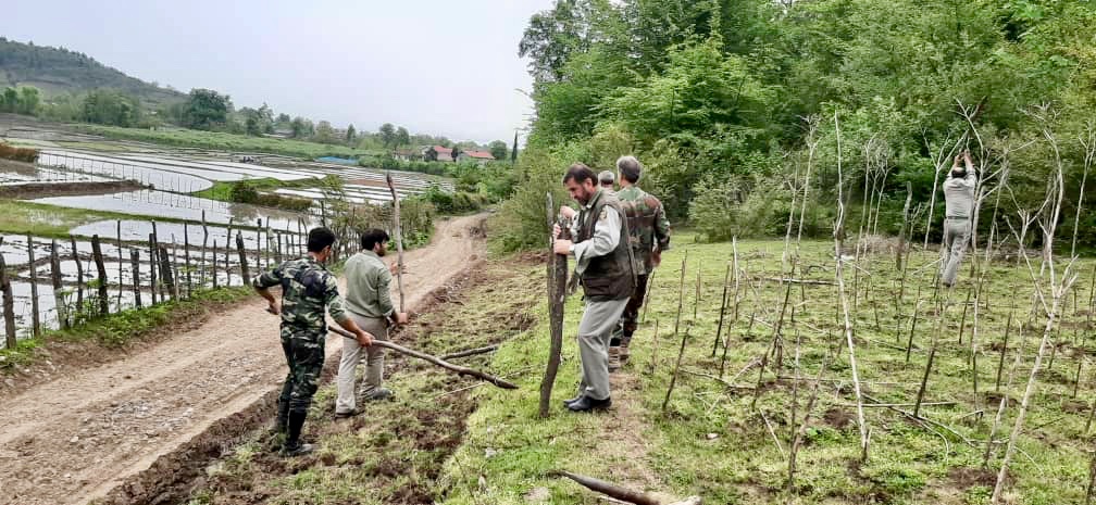 رفع تصرف بیش از 19 هکتار از زمین های ملی گیلان