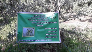 ایجاد سایت الگویی محصول استاندارد ویژه زنان روستایی در مرودشت ایجاد سایت الگویی محصول استاندارد ویژه زنان روستایی در مرودشت