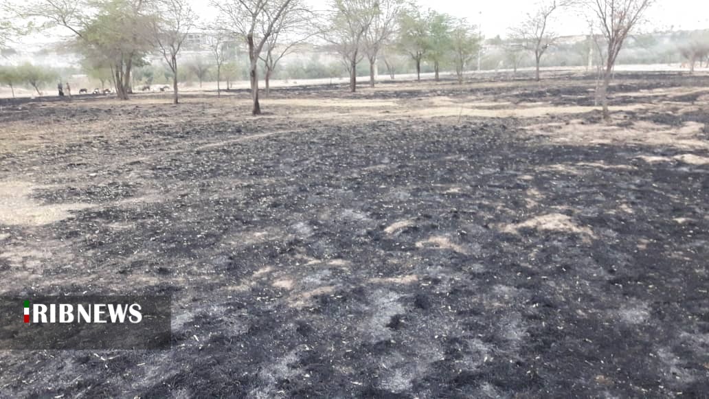 خارو خاشاک علت آتش سوزی در پارک جزیره شوشتر خارو خاشاک علت آتش سوزی در پارک جزیره شوشتر