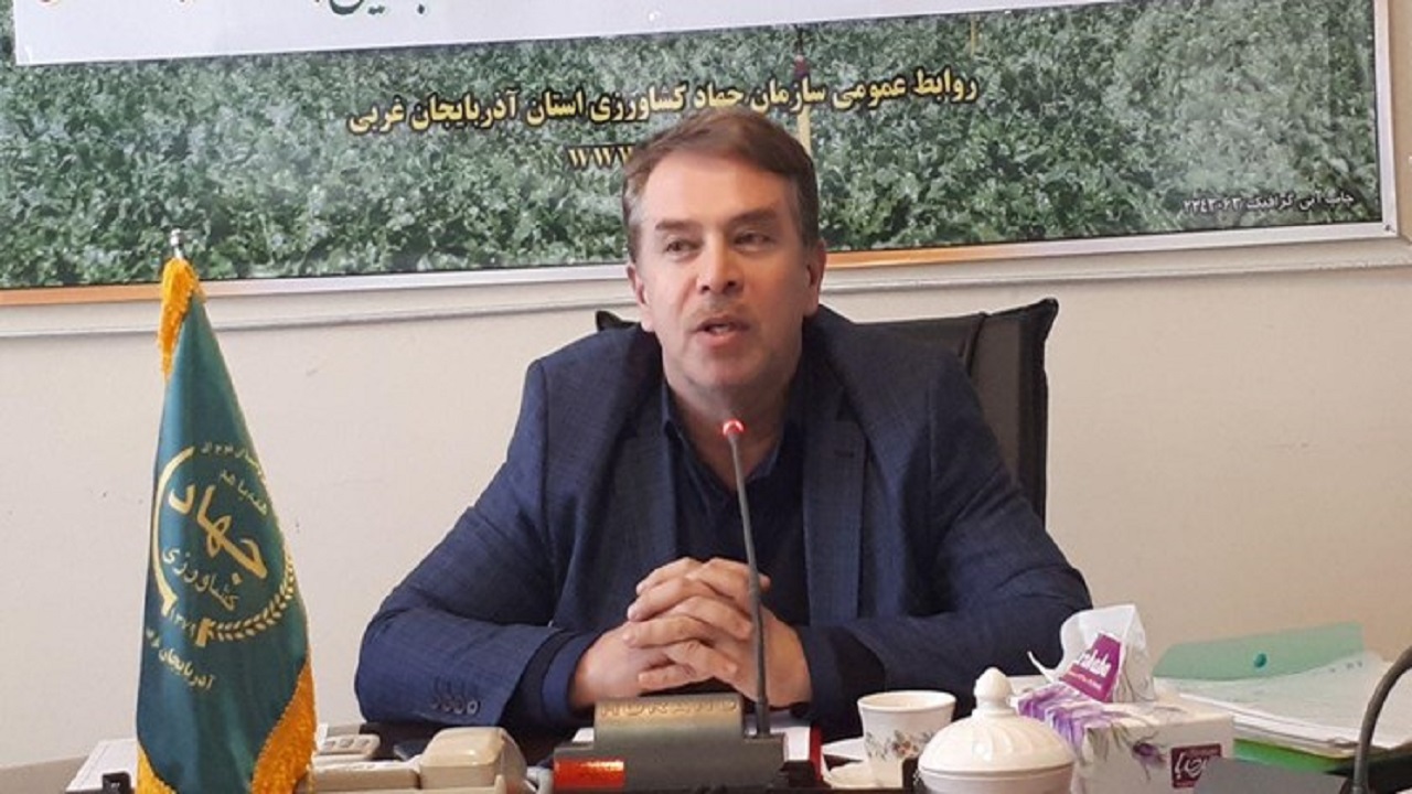 جهش در تولید محصولات کشاورزی در گرو توسعه کشت‌های گلخانه‌ای