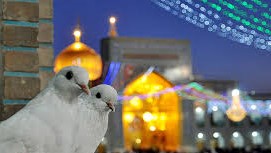 ریسه های دلبرانه نور