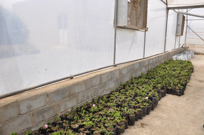 تمدید یک هفتهای ثبت نام در سامانه سیتا تمدید یک هفتهای ثبت نام در سامانه سیتا