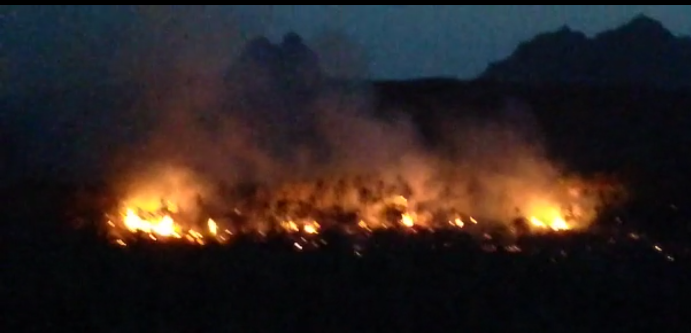 بیش از هزار درخت خرما و مرکبات در دهستان هودیان دلگان طعمه حريق