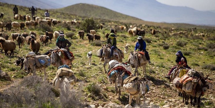 هر یک نفر از عشایر فارس گوشت قرمز ۱۶ نفر را تأمین می‌کند