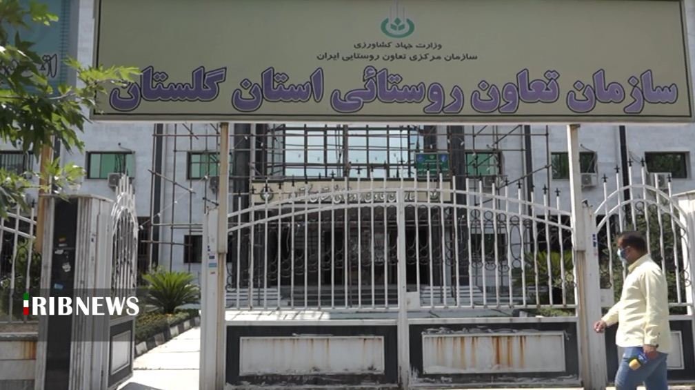 چوبِ حَراج؛ این بار بر دست رَنجِ گوجه کاران