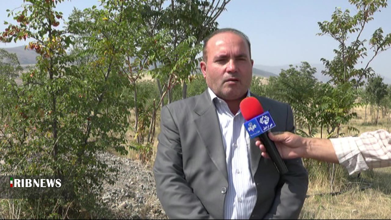 تغییر موفقیت آمیز الگوی کشت در شهرستان مشگین شهر