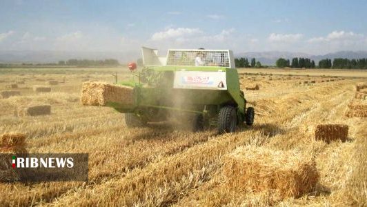 حکایت کاه ها و کوه هایی از سرمایه های نهفته