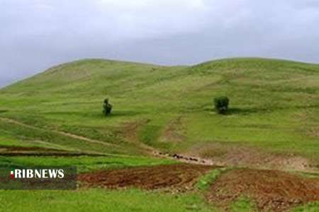 صدور سند برای بیش از 24 هزار هکتار زمین صدور سند برای بیش از 24 هزار هکتار زمین