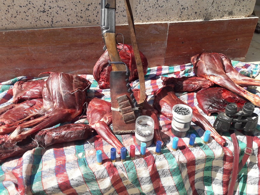 شکارچی متخلف بم در کمند قانون شکارچی متخلف بم در کمند قانون