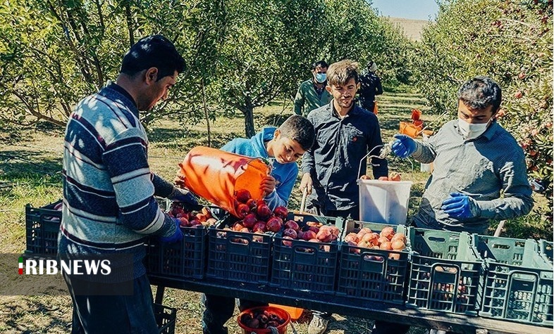 اقتصاد به روایت تصاویر ۵ آبان ۹۹ اقتصاد به روایت تصاویر ۵ آبان ۹۹