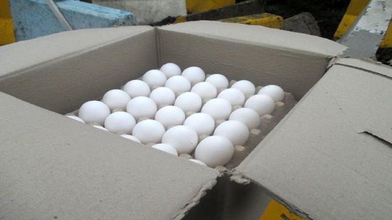 کشف و توقیف ۱۳۴ کارتن تخم مرغ خوراکی غیر مجاز