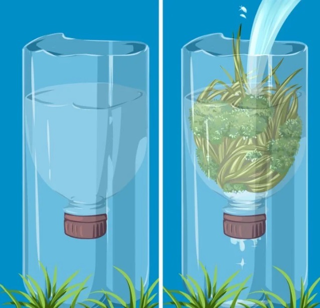 گم شدن در طبیعت و ترفندهای نجات بخش گم شدن در طبیعت و ترفندهای نجات بخش