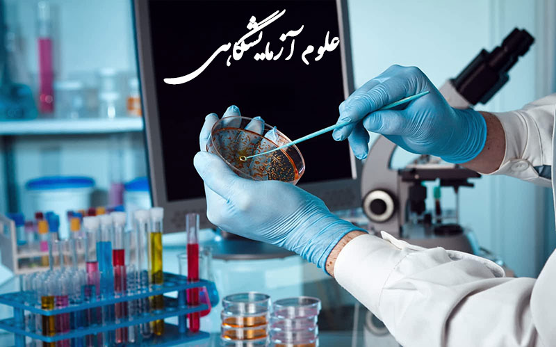 پرکارترین و بیکارترین رشته‌های دانشگاهی