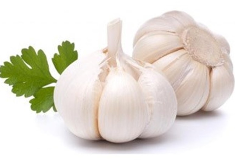 درمان زگیل، میخچه و پینه دست و پا با ۴ گیاه نام آشنا