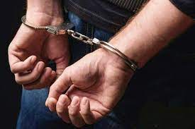 دستگیری یک سارق اماکن خصوصی در طبس