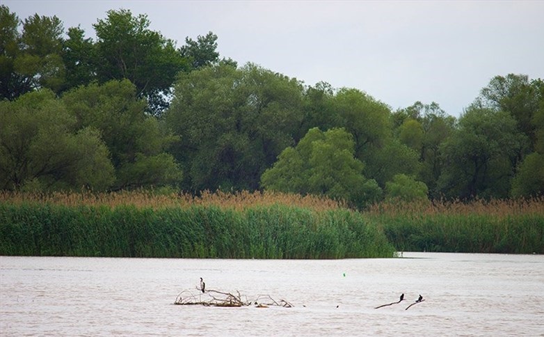 جاذبه های گردشگری استان اردبیل؛ تالاب ها