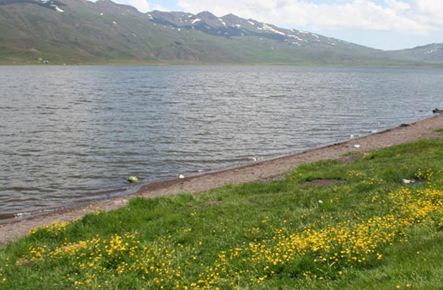 جاذبه های گردشگری استان اردبیل؛ تالاب ها