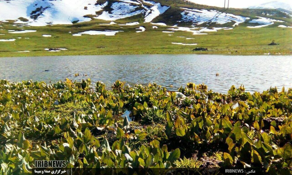 جاذبه های گردشگری استان اردبیل؛ تالاب ها