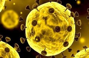 گرما قاتل کرونا