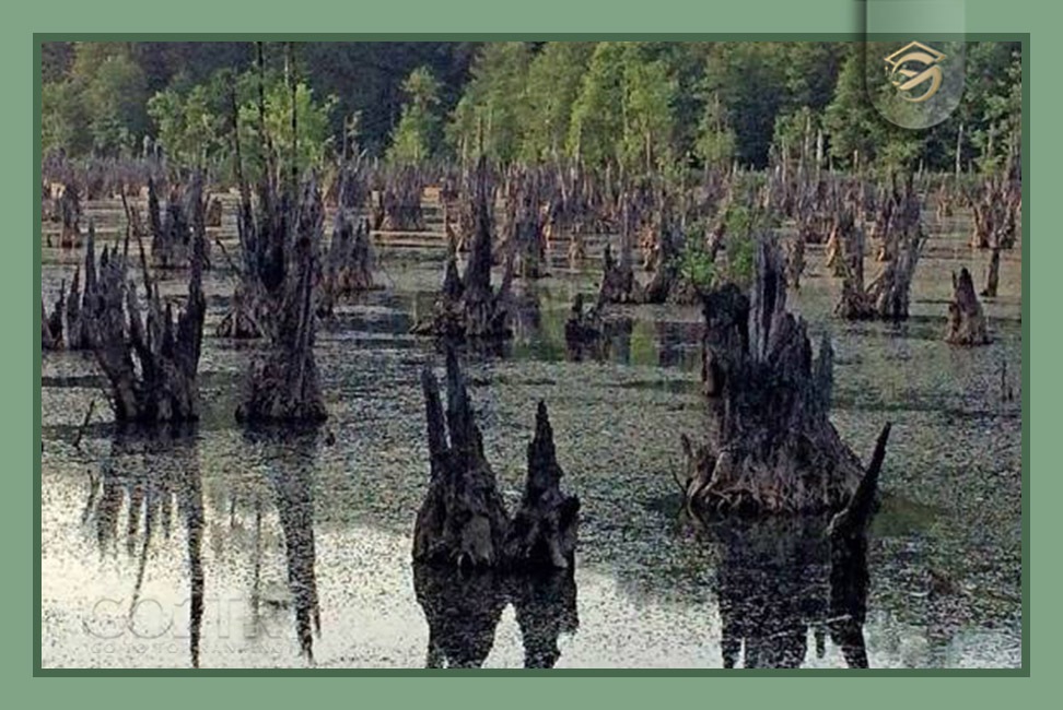 ترسناک‌ترین نقاط ایران چه رازهایی دارند؟