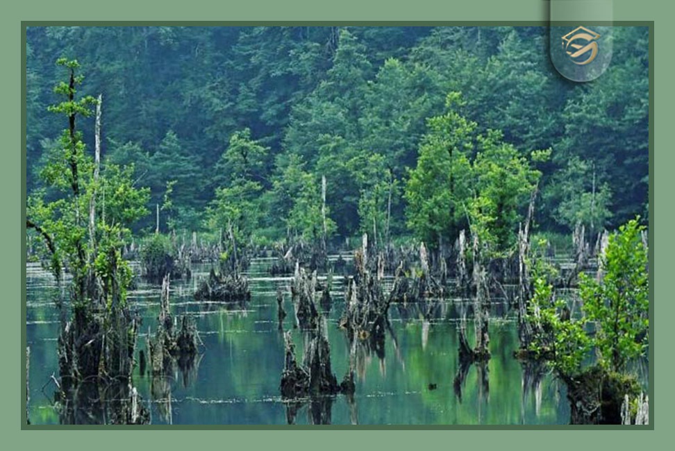 ترسناک‌ترین نقاط ایران چه رازهایی دارند؟