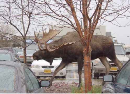 چیز‌هایی که بزرگ‌تر از آنچه تصور می‌کنید هستند