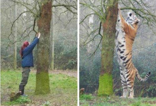 چیز‌هایی که بزرگ‌تر از آنچه تصور می‌کنید هستند