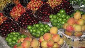 کاهش 10 درصدی تولید میوههای هستهدار در مهاباد کاهش 10 درصدی تولید میوههای هستهدار در مهاباد