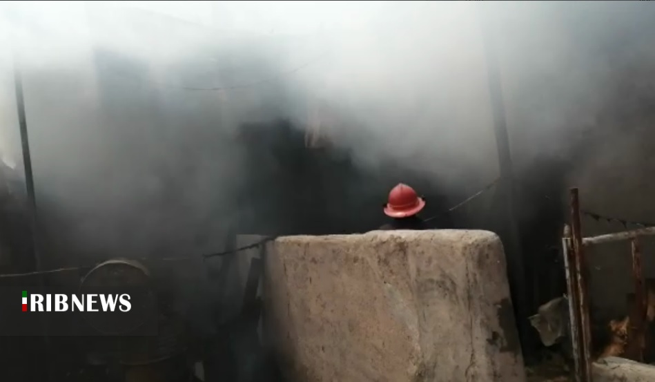 آتش سوزی گاوداری در فخر آباد تقاب