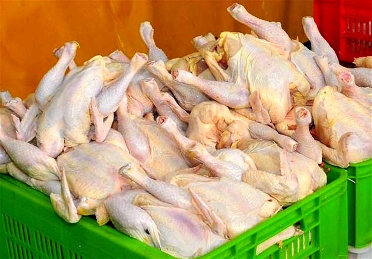 کشف بیش از ۲ هزار کیلوگرم گوشت مرغ فاقد مجوز در قاین