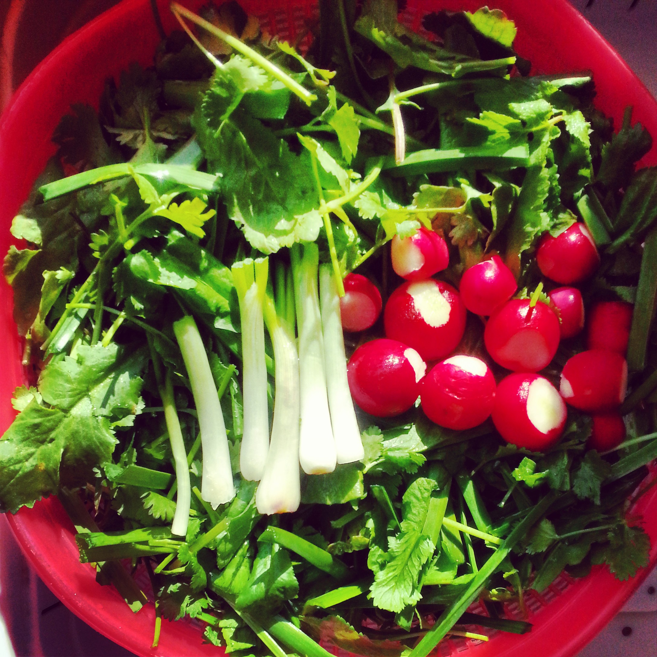 مراحل صحیح شست و شوی سبزی مراحل صحیح شست و شوی سبزی