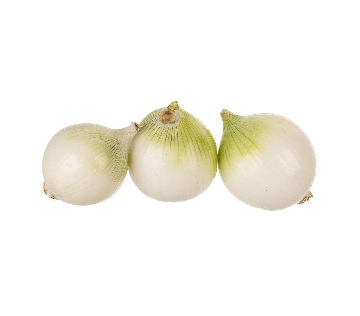 انواع پیاز و کاربردش